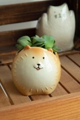 Adorable Zoo Planters Collection