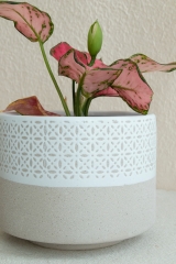 Holiday Mood Planters Collection