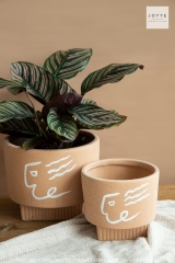 Orange and White Artistic Planter Collection