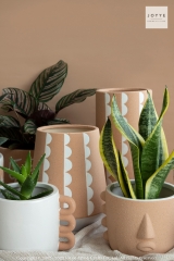 Orange and White Artistic Planter Collection