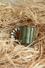 Zebra Stripes Colorful Ceramic Mug Collection