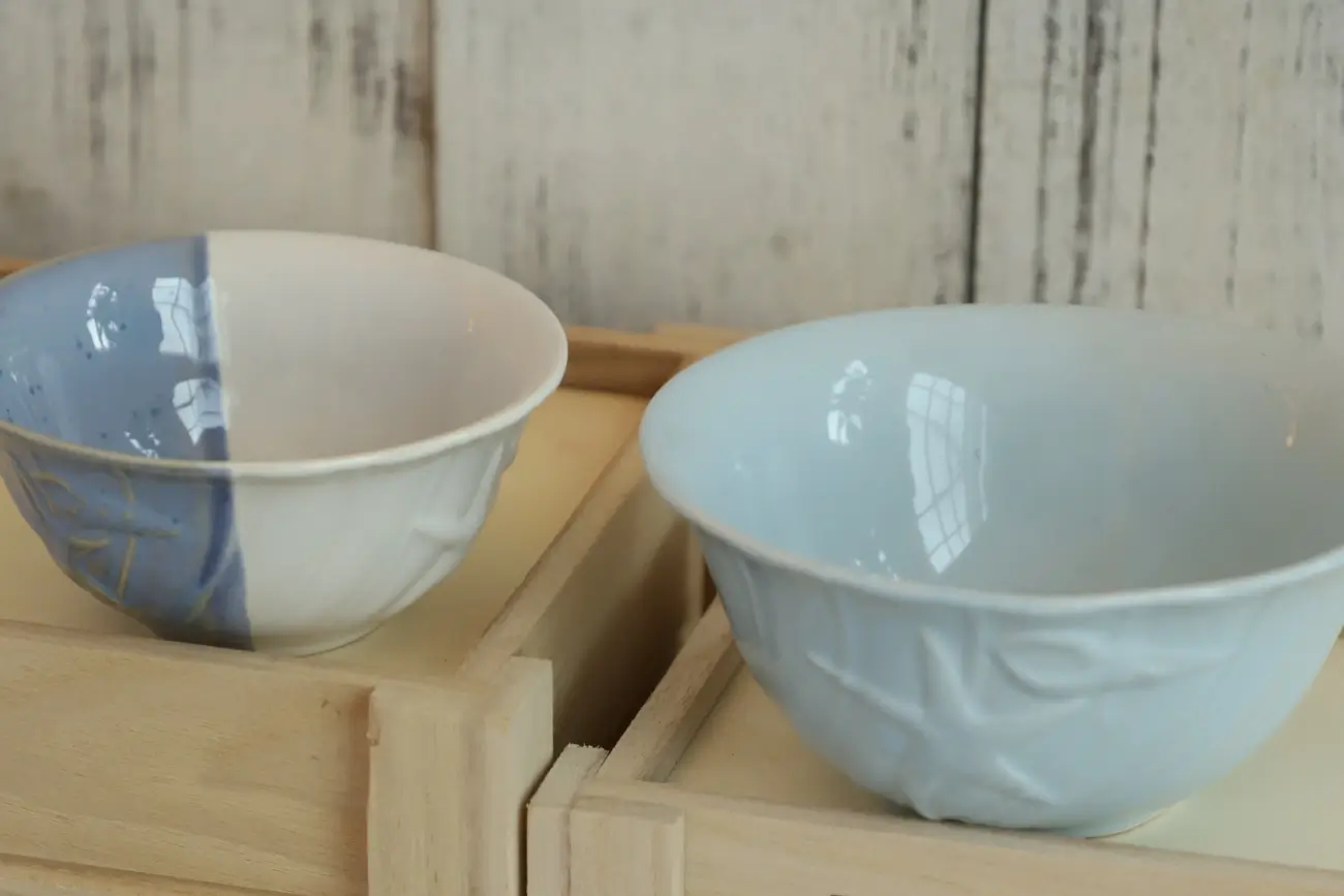 Can Ceramic Bowls Go in the Oven? What You Need to Know